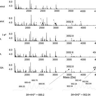 Nano Esi Qqtof Reconstructed Mass Spectra Of Bs Modified Hsa Samples