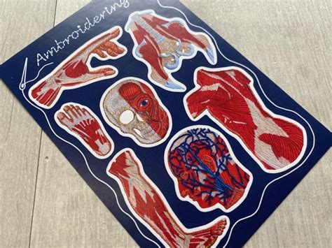 Musculoskeletal Anatomical A6 Sticker Sheet Embroidery Etsy