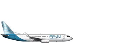 Fleet Bbam Aircraft Leasing Management