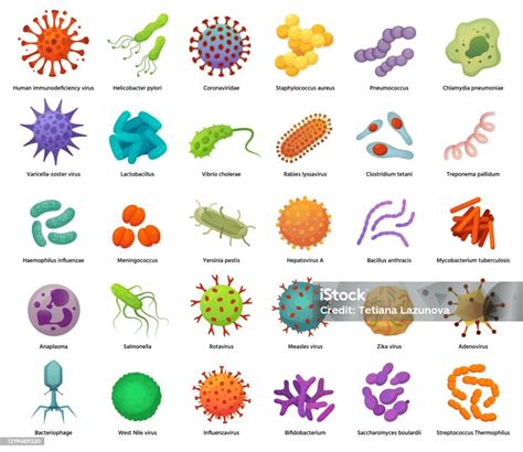 Bacteriën En Viruspictogrammen Ziekteverwekkende Bacteriën Virussen En