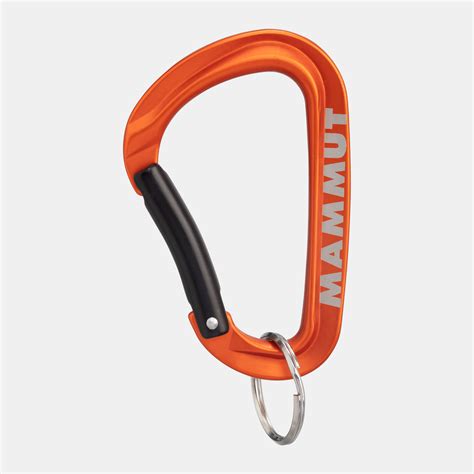 Mammut Mini Carabiner Workhorse Keylock L | Mammut