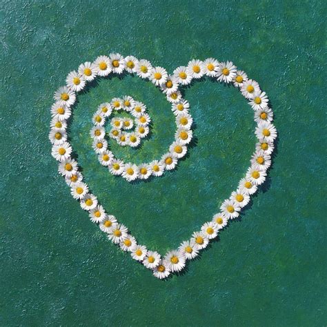 daisy heart cards daisy heart photo card heartycards flower heart card