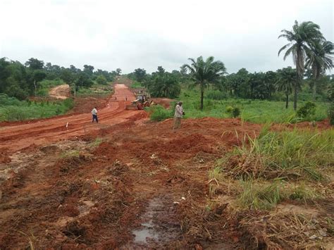 Acres Of Farmland With C Of O For Sale In Anambra State Nigeria