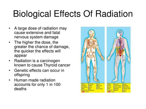 PPT - Effects of Pollution PowerPoint Presentation, free download - ID:2746218