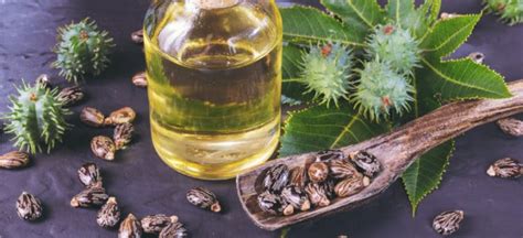 Castor Oil Benefits, Uses, Types and Side Effects - Dr. Axe