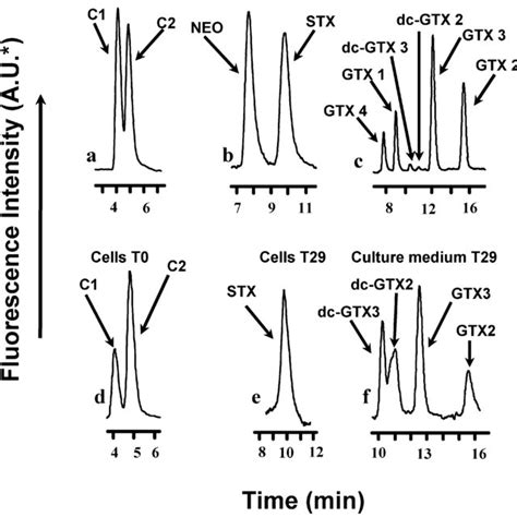 Hplc Chromatograms Of A Standard Toxins C1 And C2 B Standard Download Scientific Diagram