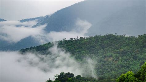 10 Best Wildlife Sanctuaries In Arunachal Pradesh To Visit On Your Trip