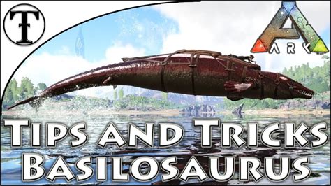 Fast Basilosaurus Taming Guide Ark Survival Evolved Tips And