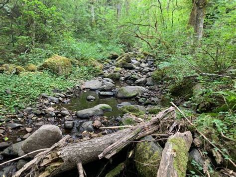 2023 Best Moderate Trails In Milton Freewater Alltrails