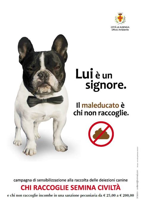 Albenga Parte La Campagna Contro L Abbandono Delle Deiezioni Canine