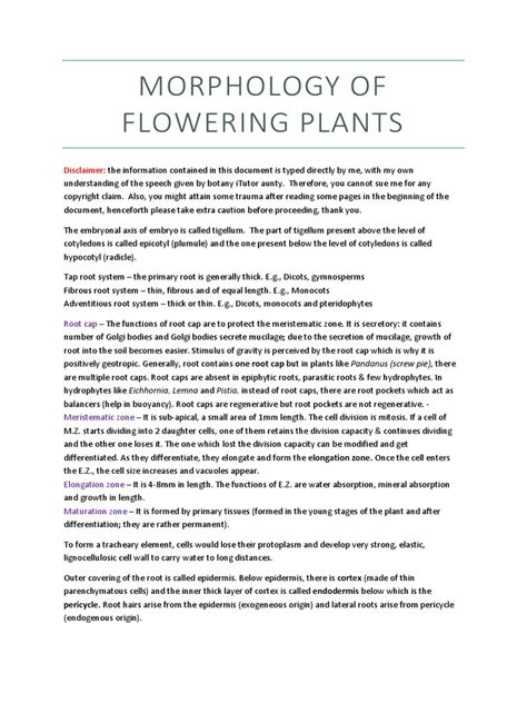 Morphology Of Flowering Plants Pdf Fruit Petal