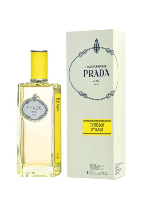 Jual Prada Prada Infusion D Ylang Edp Ml Original Zalora