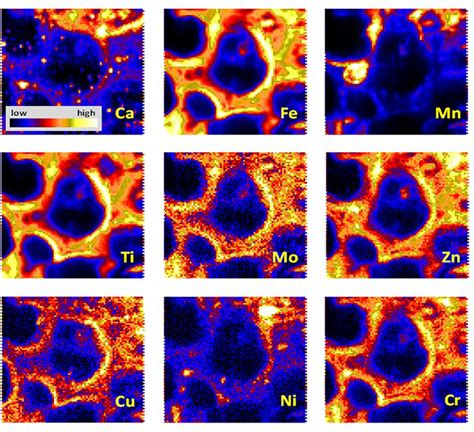 Micro Xrf Maps Of Selected Major And Trace Elements For The Area Marked