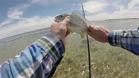 Kingston Park Sth Aust Yellowfin Whiting March Youtube