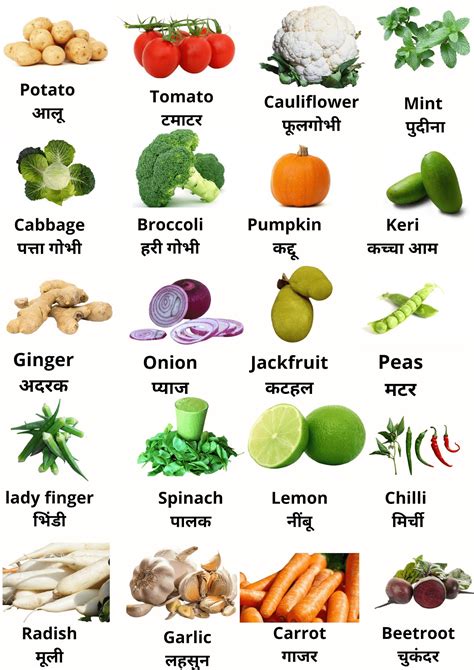 20 Vegetables Name In Hindi And English सब्जियों के नाम हिंदी और