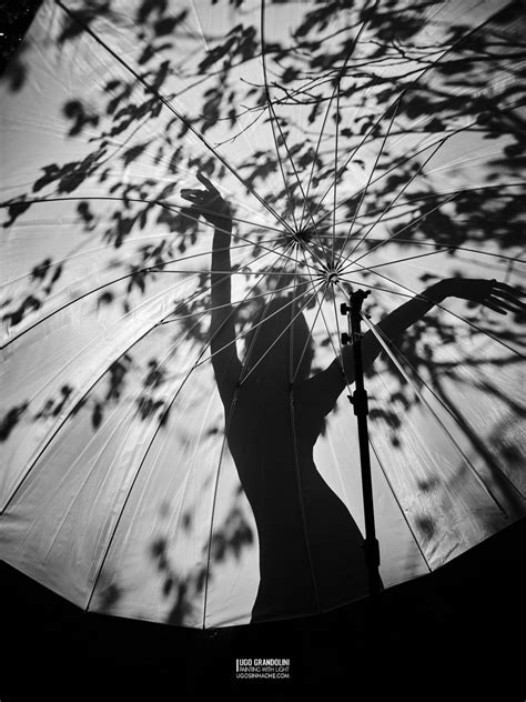 Playing With Shadows In The Forest Photography By Ugo Grandolini