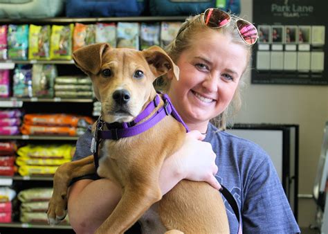 Quinn Adoption – Richardson Humane Society