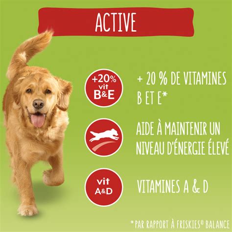 Friskies Croquettes Vitafit Active Au Boeuf Pour Chien