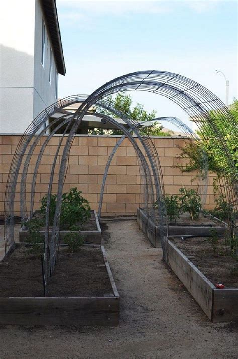 Vegetable Garden Trellis Arch Gardenbz