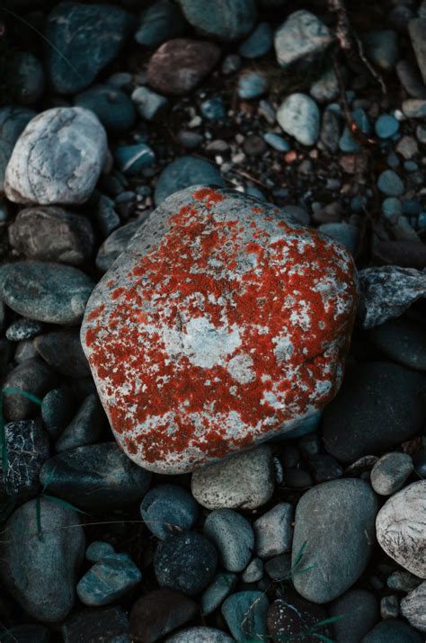 Red Painted Rock Serving As A Trail Marker · Free Stock Photo