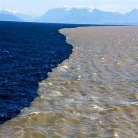 Focus On Gambia - The Gulf Of Alaska Where Two Great...