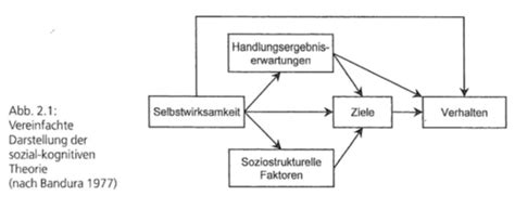 Patient Innen Und Angeh Rigenedukation T Sozial Kognitive Theorie