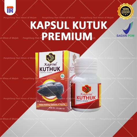 Jual Kapsul Kutuk Premium Asli Original Ekstrak Albumin Sulosi