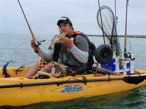 The Barracuda Bite—Including 6 Pending World-Record Catches | Newport Beach, CA Patch