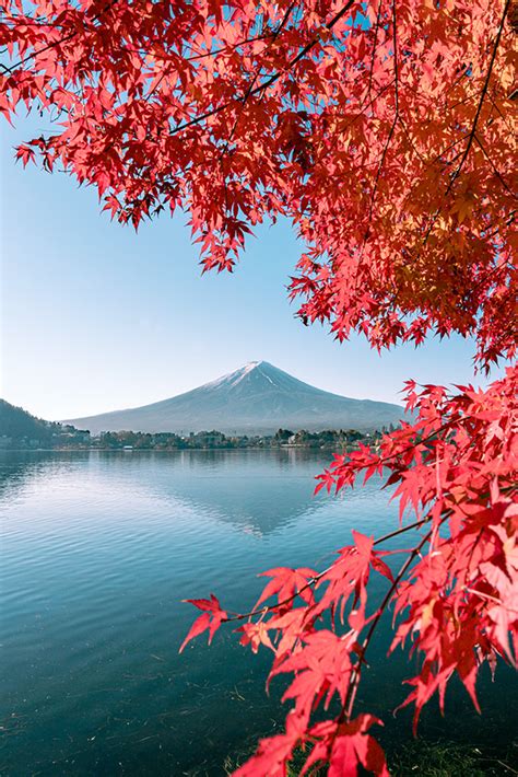 Japan -Autumn colors on Behance