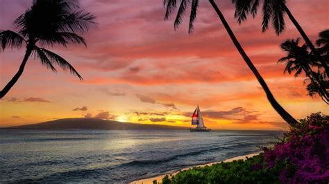 19+ Things To Do in Lahaina, Maui