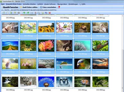 Fotoverwaltungssoftware Tool für gute Anwendungsgebiete