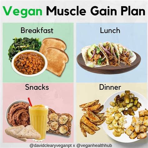 Muscle Food Plan Nutrition Vegan Meal Plans Vegetarian Recipes