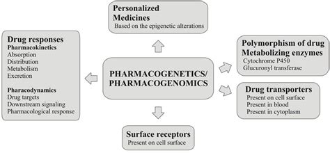 Roles Of Pharmacogenomics And Pharmacogenetics In Disease Treatment And