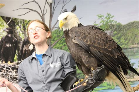 Gust Gab: National Eagle Center - Wabasha, Minnesota