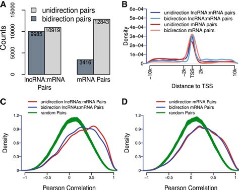 Bi Directional Promoter Analysis A Proportion Of Different Direction