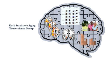 Ziaei Group Kavli Institute For Systems Neuroscience Ntnu