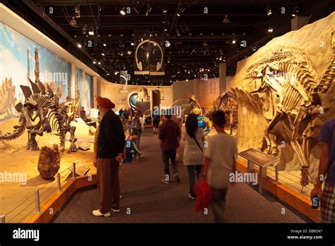 Royal Tyrrell Museum Of Paleontology Drumheller Alberta Canada Hi Res