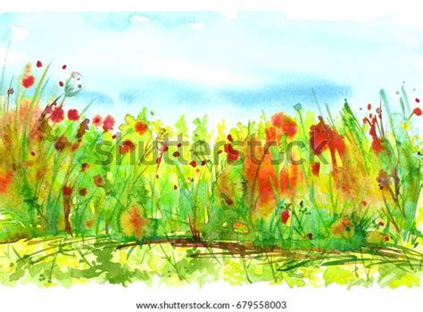 Watercolor Landscape Image Wild Grasses Flowers Stock Illustration 679558003