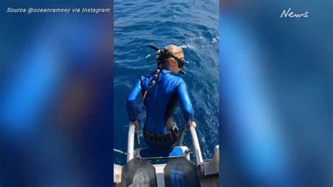 Ocean Ramseys Close Encounter With Shark Goes Viral Au