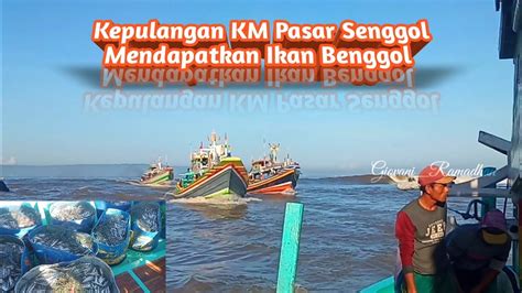 Kepulangan Km Pasar Senggol Mendapatkan Ikan Benggol April