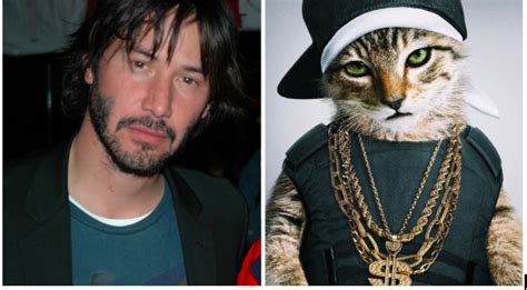 Famous Actors Who Have Played Cats Catcon Worldwide