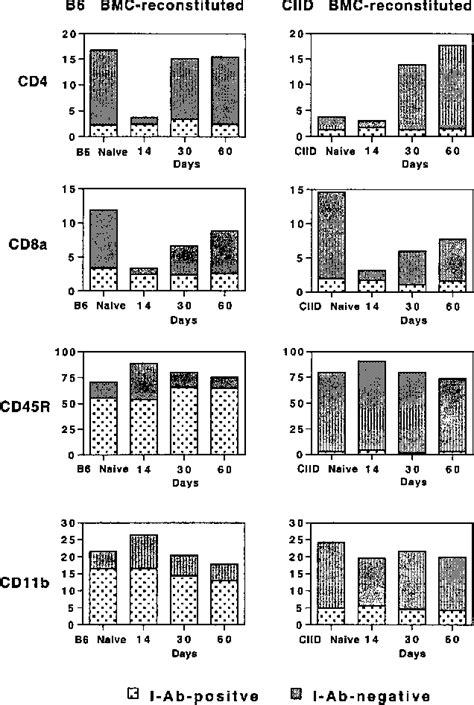 Figure 3 From Bone Marrow Cells Induction Of Transplantation Tolerance