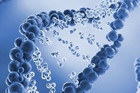 Chemicals | Thermo Fisher Scientific - AU