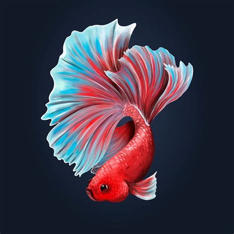 Colorful Betta Fish On A Midnight Premium Vector Illustration Rawpixel