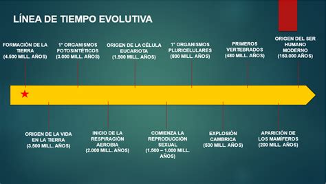 Linea De Tiempo Teorias Evolutivas Actualizado Noviembre Porn