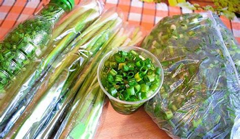 Лук зелёный - калорийность, полезные свойства, польза и вред, описание ...