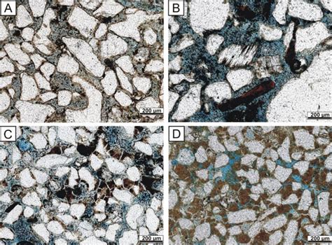 Microscopic Characteristics Of The Sandstones On The Campos Macaé