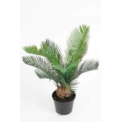 Palmier Cycas Artificiel En Pot H Cm Superbe Cdiscount Maison