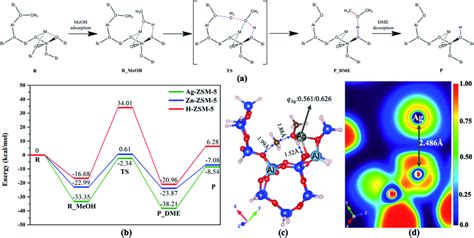 (a) Reaction scheme and (b) potential energy surface of M-ZSM-5–MeOH ...