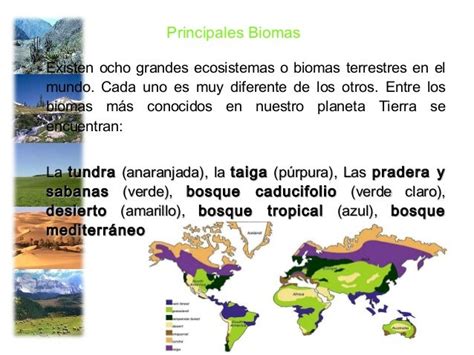 Principales Biomas Terrestres